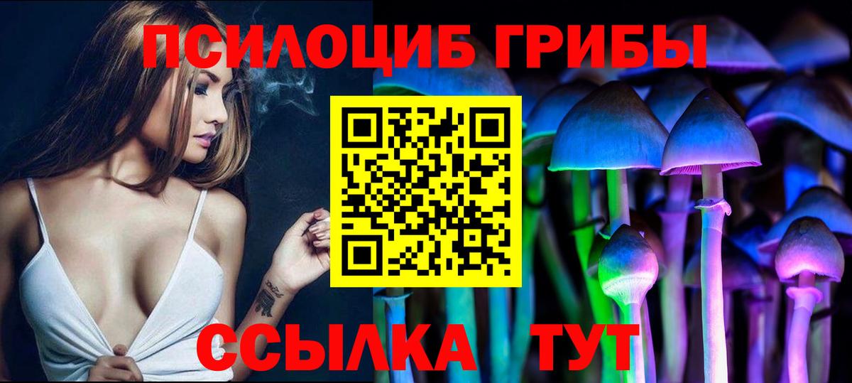 Псилоцибиновые грибы GOLDEN TEACHER Майский